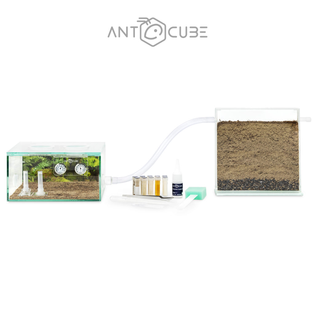 ANTCUBE - ANTCUBE