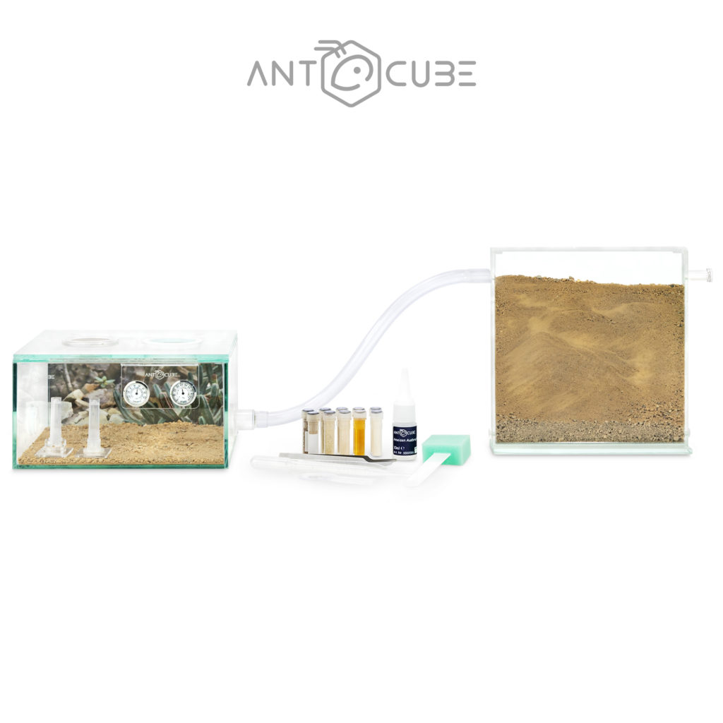 ANTCUBE Starter Set Desert 